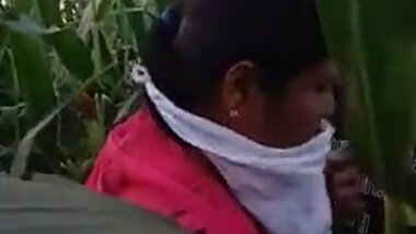 Indian catch in khet