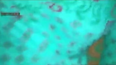 Desi indian cute couple's sex mms !