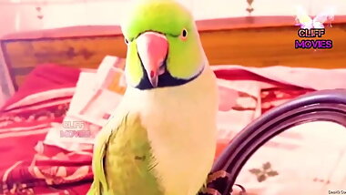 Desi Call Girl Has Sex with Old Men