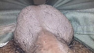 cock of mayanmandev