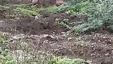 Desi Aunties Pissing In Open