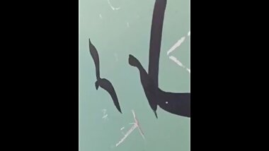 Desi indian young couple caught red handed on mandir Roof Top